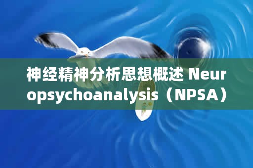 神经精神分析思想概述 Neuropsychoanalysis（NPSA）