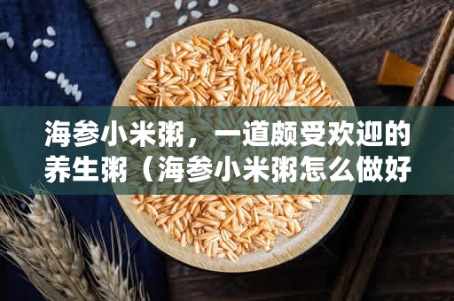 海参小米粥，一道颇受欢迎的养生粥（海参小米粥怎么做好吃？）