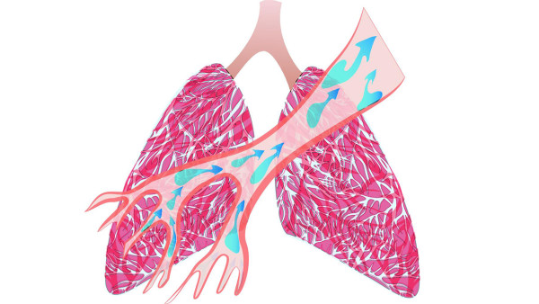 身体总是发生这五种变化是肺不好 要注意养肺！
