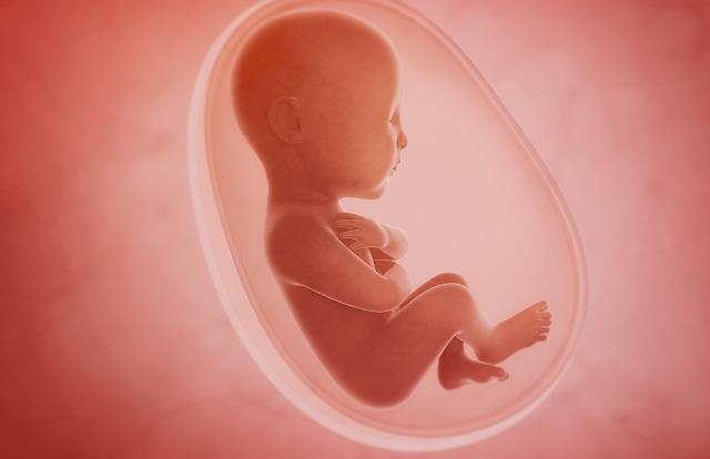 如何预防胎儿畸形？预防胎儿畸形的途径有哪些？