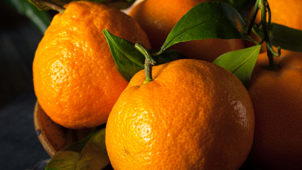 橘子皮的功效与作用 橘子皮煮粥止咳祛痰