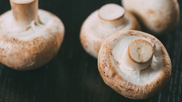 野生蘑菇不能随便吃 怎么挑最新鲜的蘑菇
