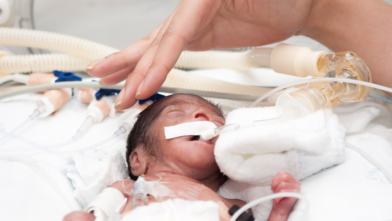 双胞胎新生儿的产后护理措施有哪些？