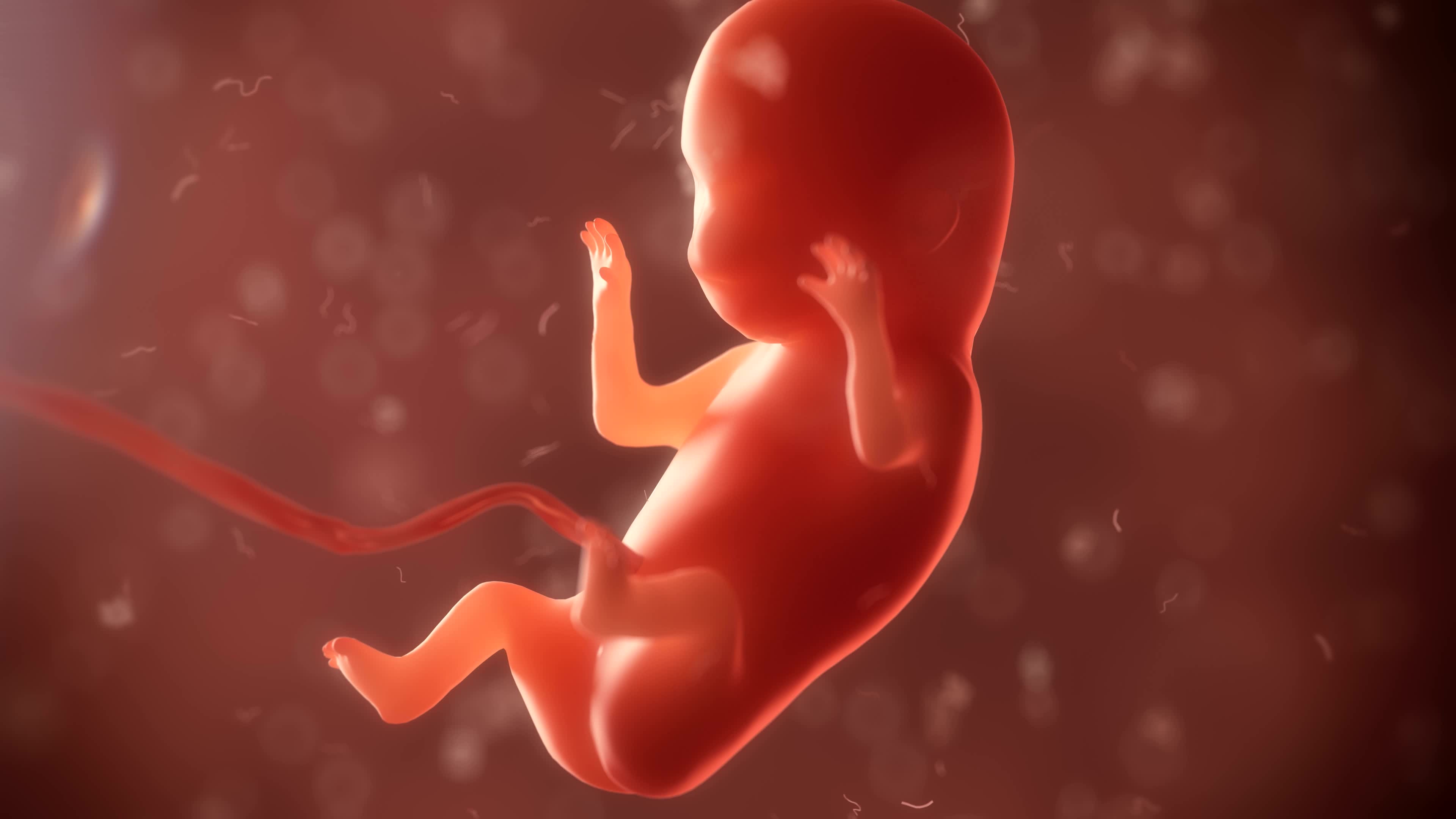 电磁波污染对胎儿有什么影响?电磁波污染危害性不容忽视