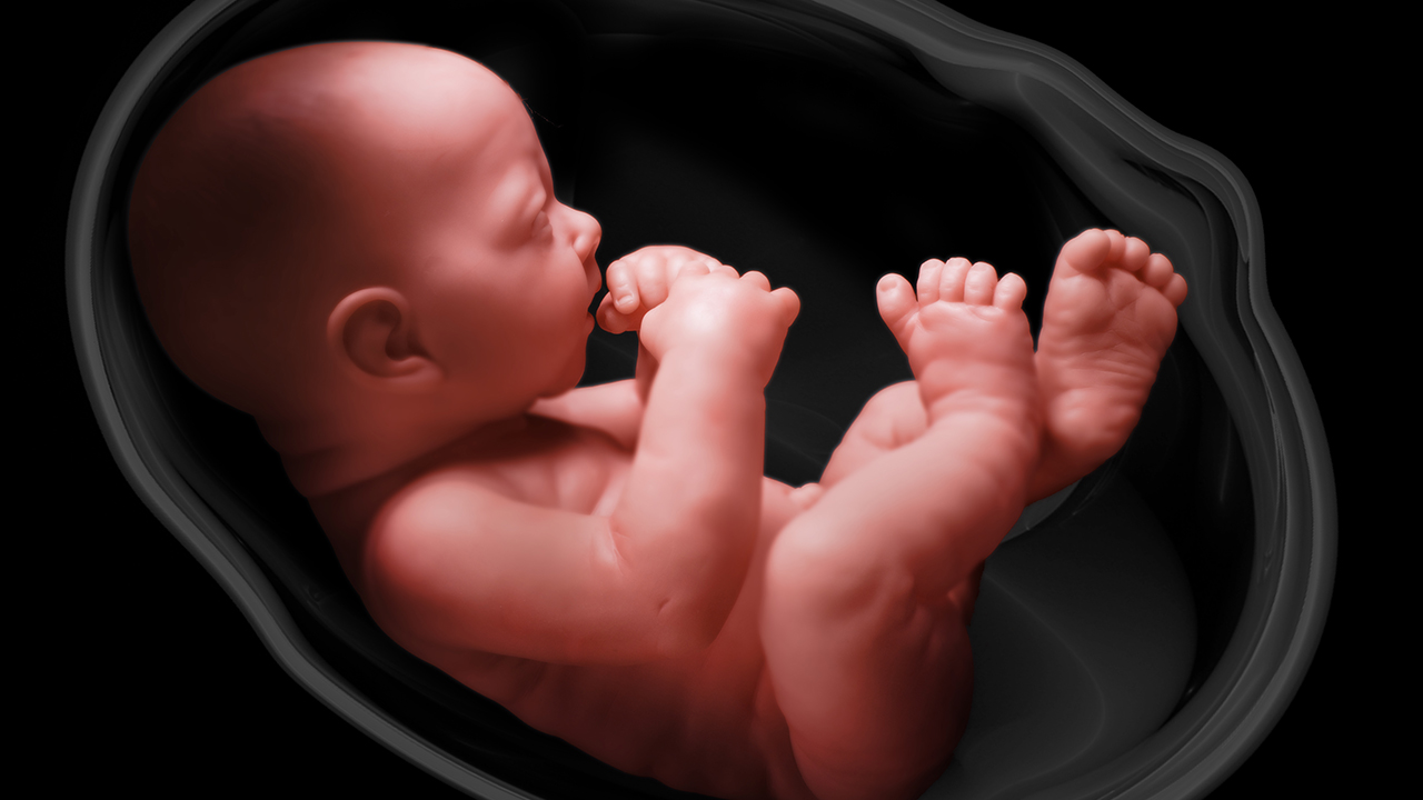 胎教真的有那么神秘吗？怀孕期间如何进行胎教呢