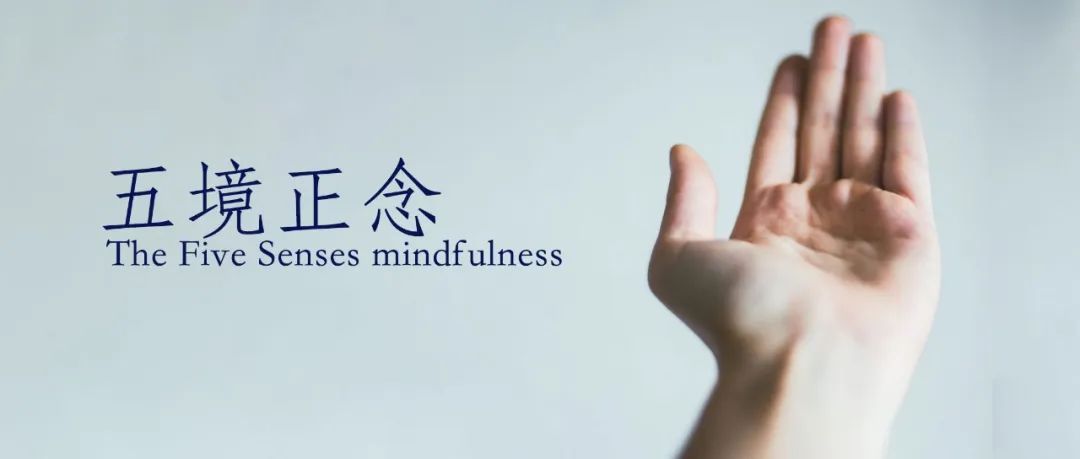 五境（色、声、香、味、触）正念 The Five Senses mindfulness