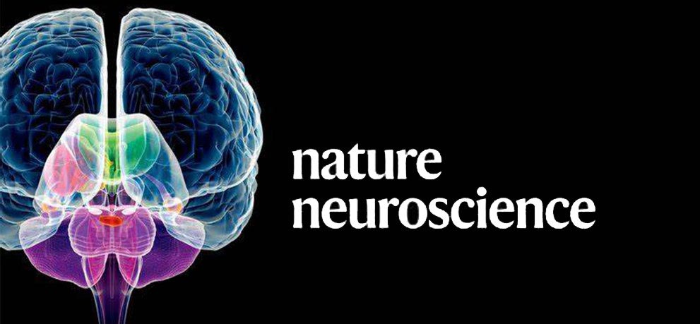 《自然·神经科学》控制做爱和战斗的脑细胞