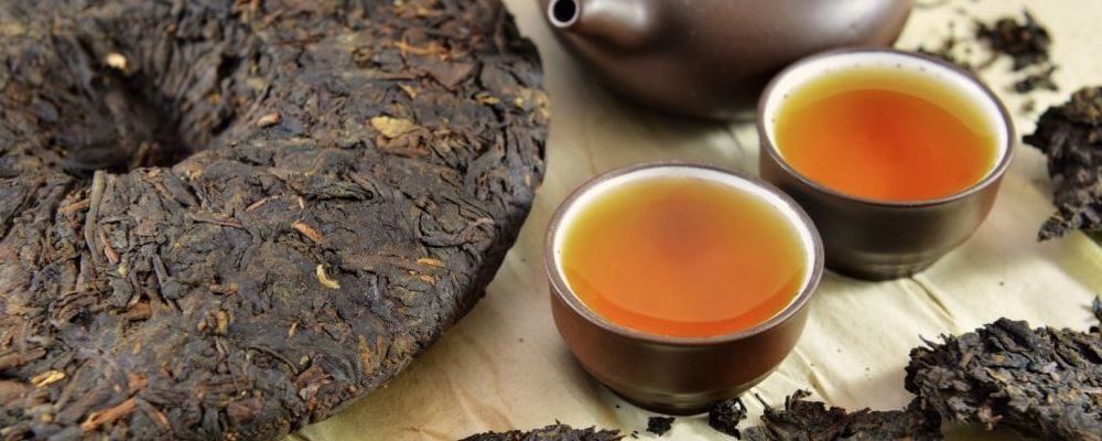 每天喝普洱茶真的可以减肥吗 普洱茶的特点