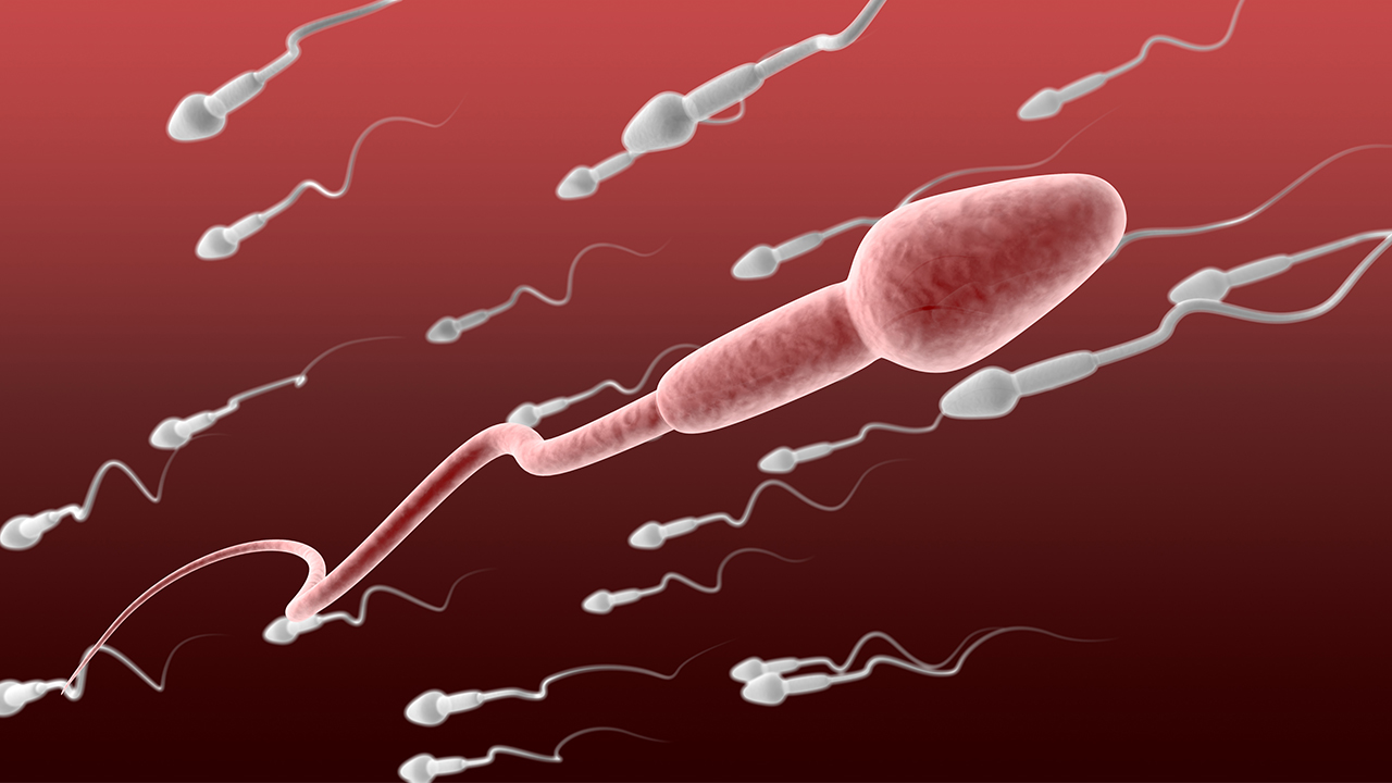 如何拥有好卵巢 5妙招助女性养出健康卵子