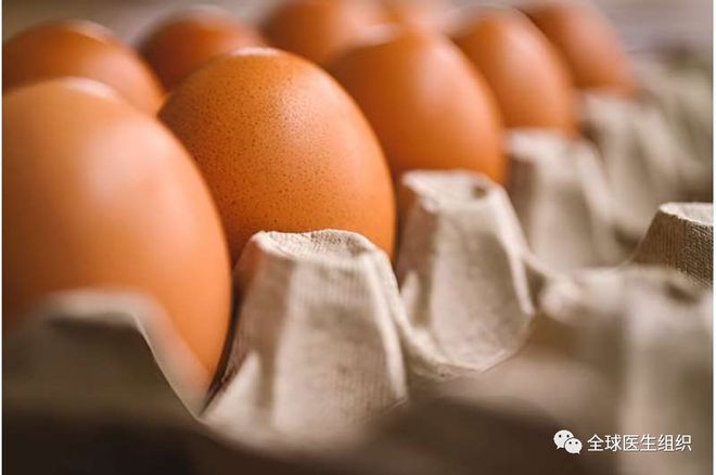 广义研究健康成年人每天吃鸡蛋，怎么吃对健康有益？