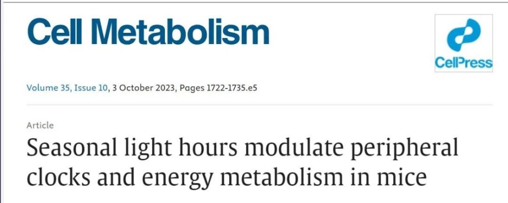 Cell Metabolism (29分): 想减肥？试试这个方法！不同的光照时间或能影响人体代谢，少晒太阳能减肥