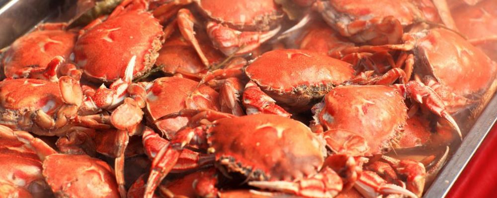 减肥能吃螃蟹吗 热量高吗