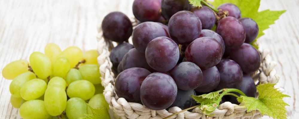 减肥可以吃葡萄吗 揭秘葡萄对减肥的影响