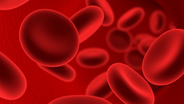 小细胞低色素性贫血怎么治疗（小细胞低色素性贫血怎么办）
