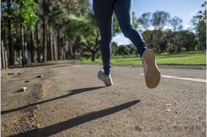 坚持跑步可以减肥或甩掉全身脂肪吗？（坚持跑步可以减肥吗？）