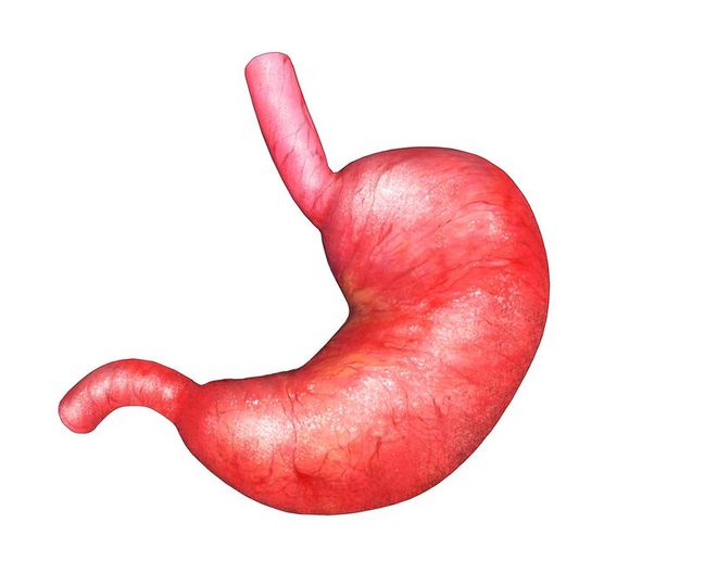 胃：情绪器官——情感与健康的微妙交织