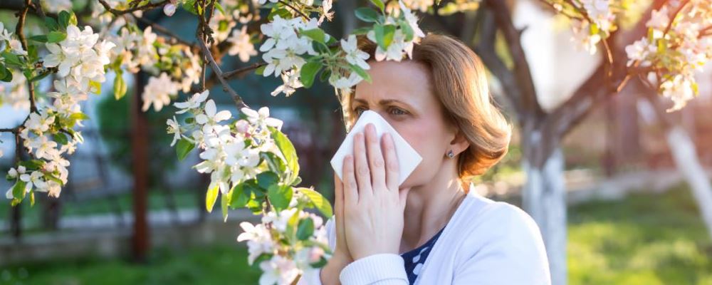 花粉过敏有哪些症状 如何预防花粉过敏