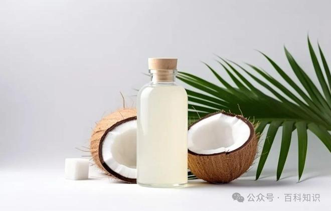椰子油可以用来减肥吗