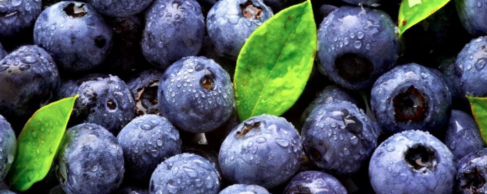 巴西莓减肥有用吗 巴西莓粉吃了会胖吗