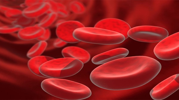 长期打干扰素贫血红细胞低