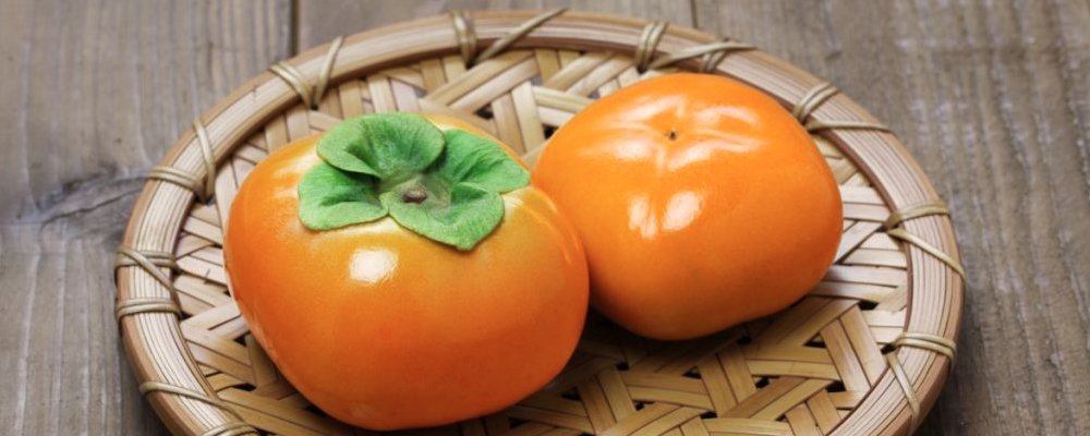 柿子叶的药用价值 柿子叶泡水喝的作用