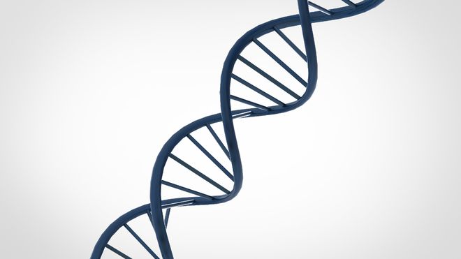 【佳学基因检测】什么样的人应当做怀孕前基因检测？